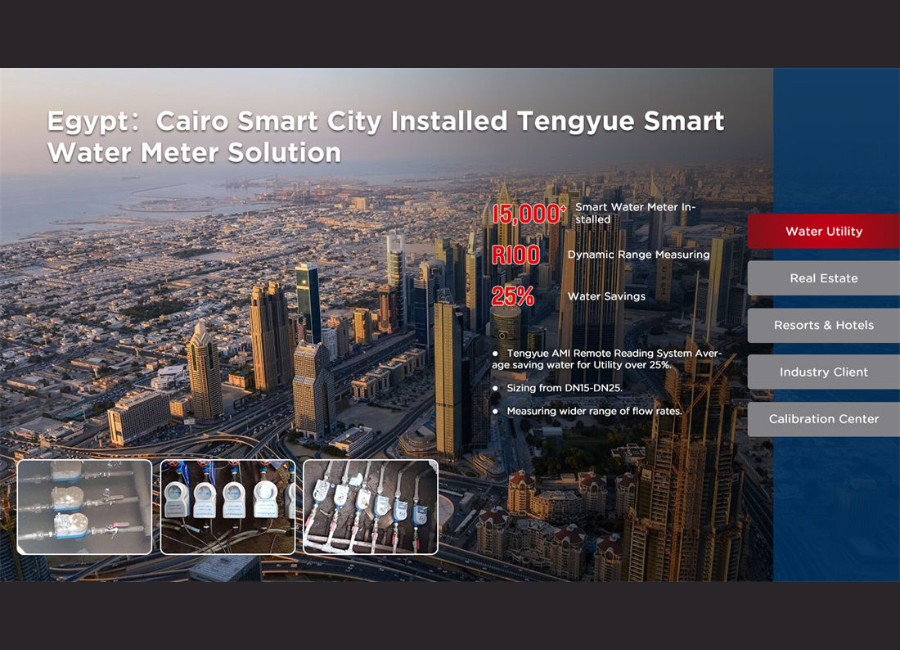 Egypt Cairo Smart City Installed Tengyue Smart Water Meter Solution